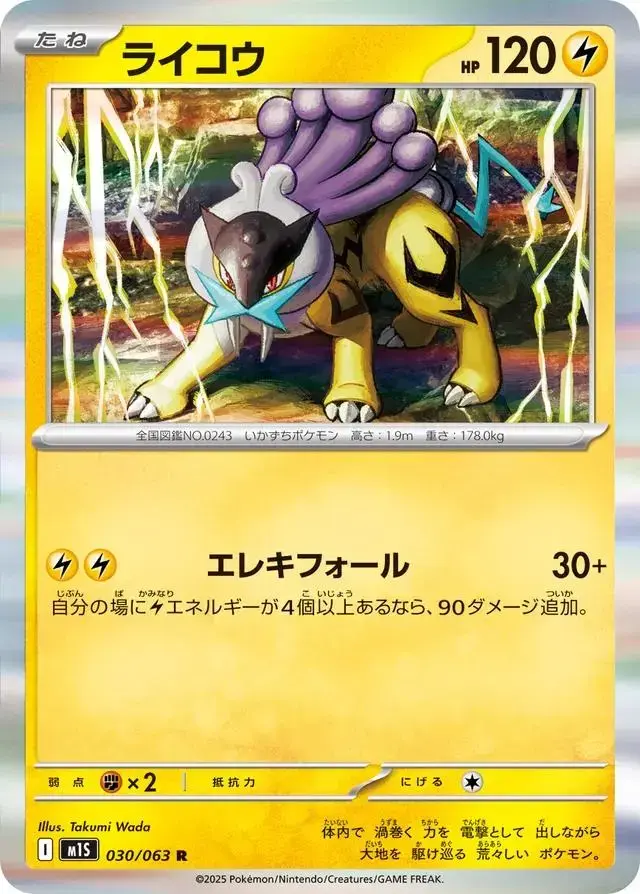 Raikou - Pokemon Japanese Mega Symphonia #30