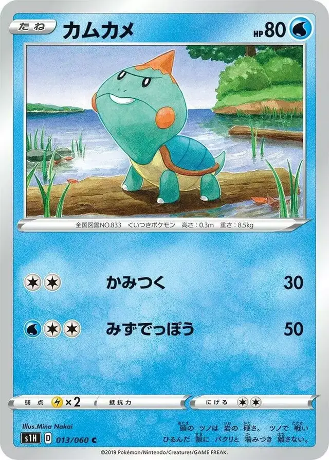 Chewtle - Pokemon Japanese Shield #13