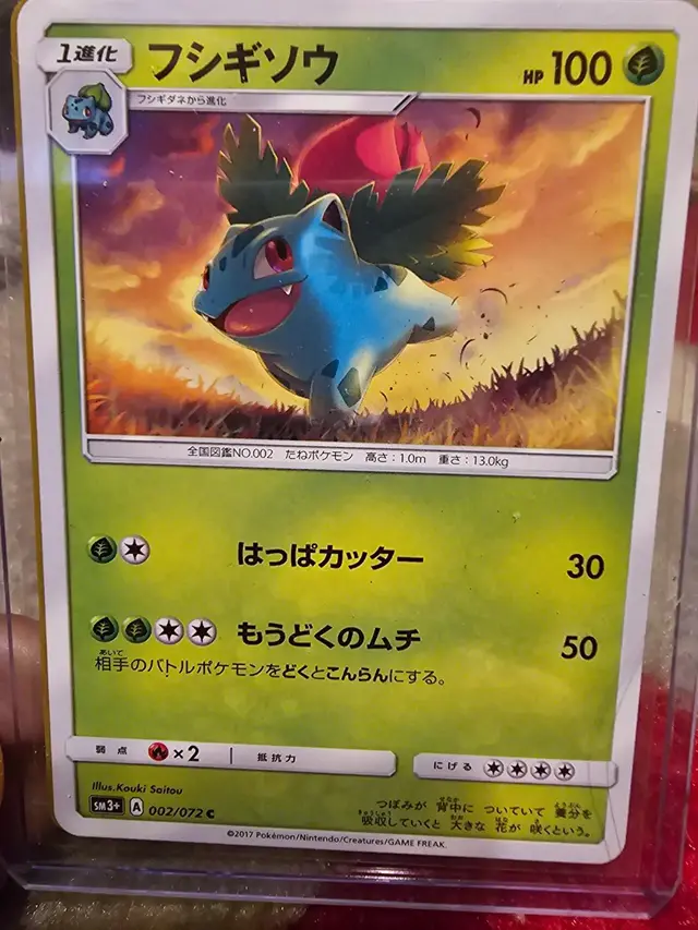 Ivysaur - Pokemon Japanese Shining Legends #2