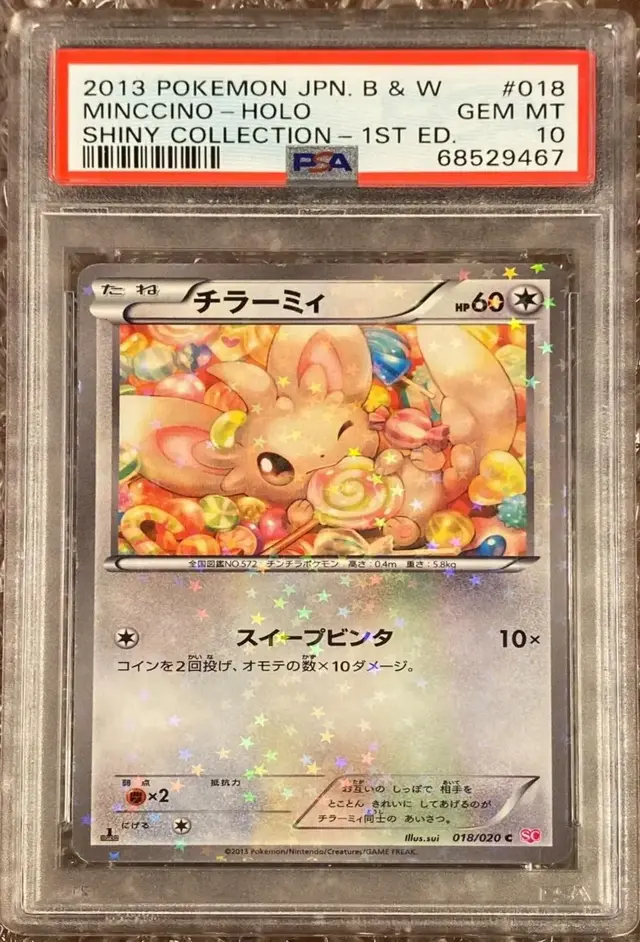 Minccino [Holo 1st Edition] - Pokemon Japanese Shiny Collection #18