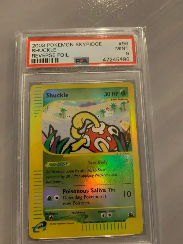 Shuckle [Reverse Holo]