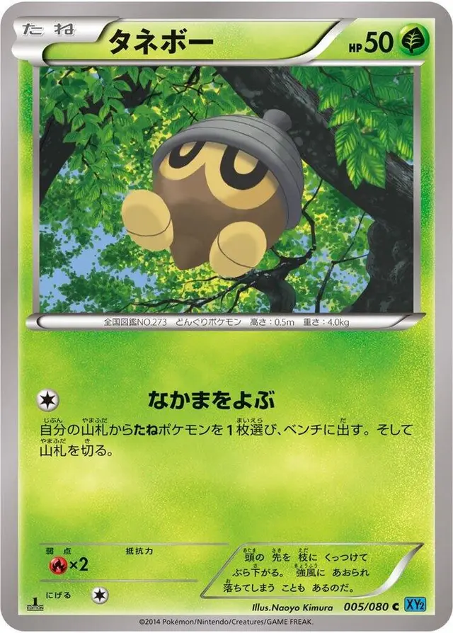 Seedot [1st Edition] - Pokemon Japanese Wild Blaze #5