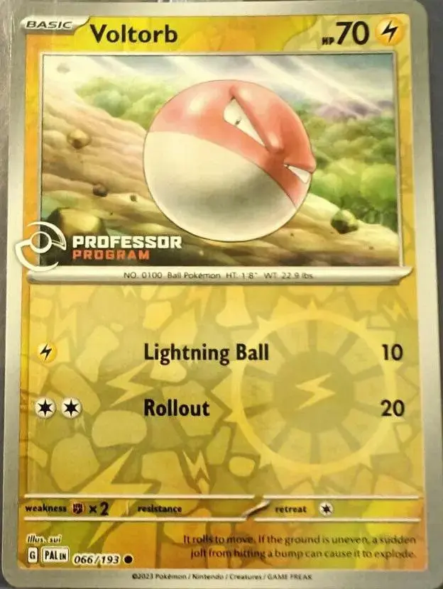 Voltorb [Professor Program]