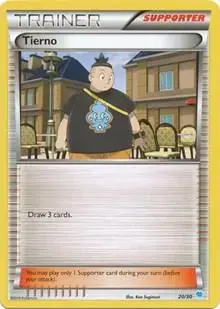Tierno - Pokemon Pikachu Libre & Suicune #20