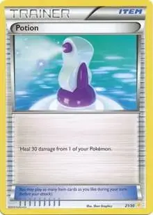 Potion - Pokemon Pikachu Libre & Suicune #21