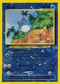 Marill - Pokemon Southern Islands #11