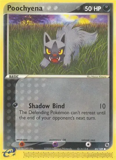 Poochyena - Pokemon Ruby & Sapphire #65