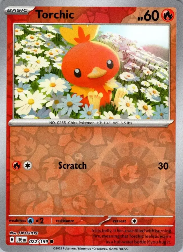 Torchic [Reverse Holo] - Pokemon Journey Together #22