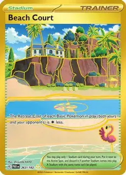 Beach Court 263 - Pokemon Paradox Rift