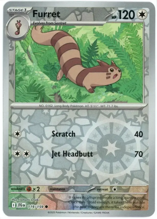 Furret [Reverse Holo]