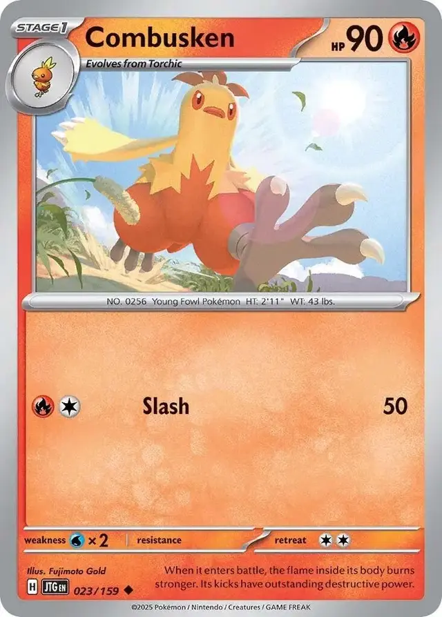Combusken - Pokemon Journey Together #23