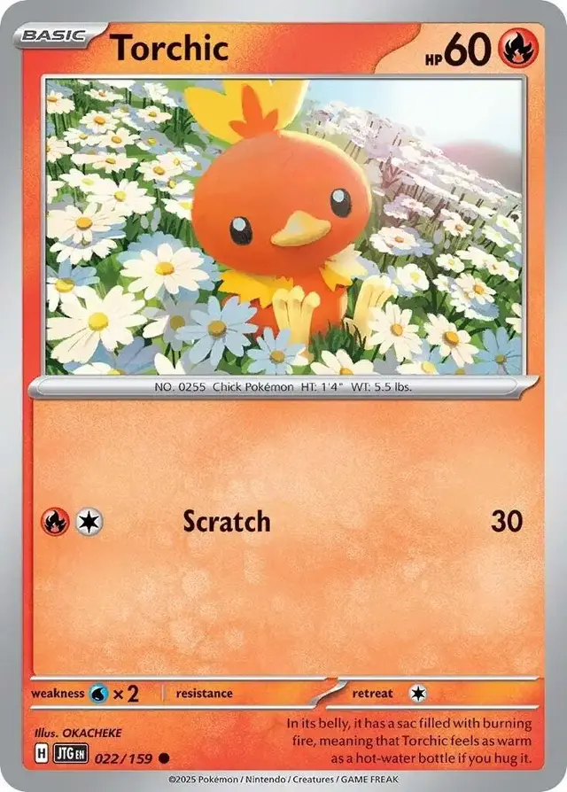 Torchic - Pokemon Journey Together #22