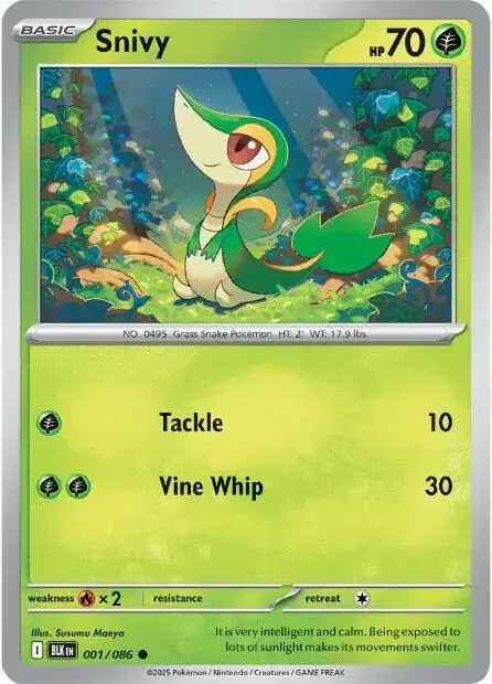 Snivy - Pokemon Black Bolt #1