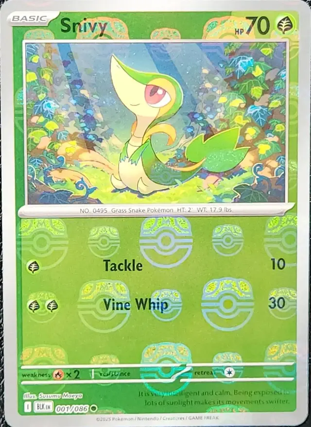 Snivy [Master Ball] - Pokemon Black Bolt #1