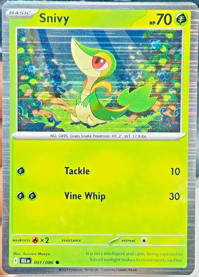Snivy [Poster Holo] - Pokemon Black Bolt #1