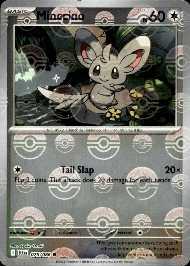 Minccino [Poke Ball]