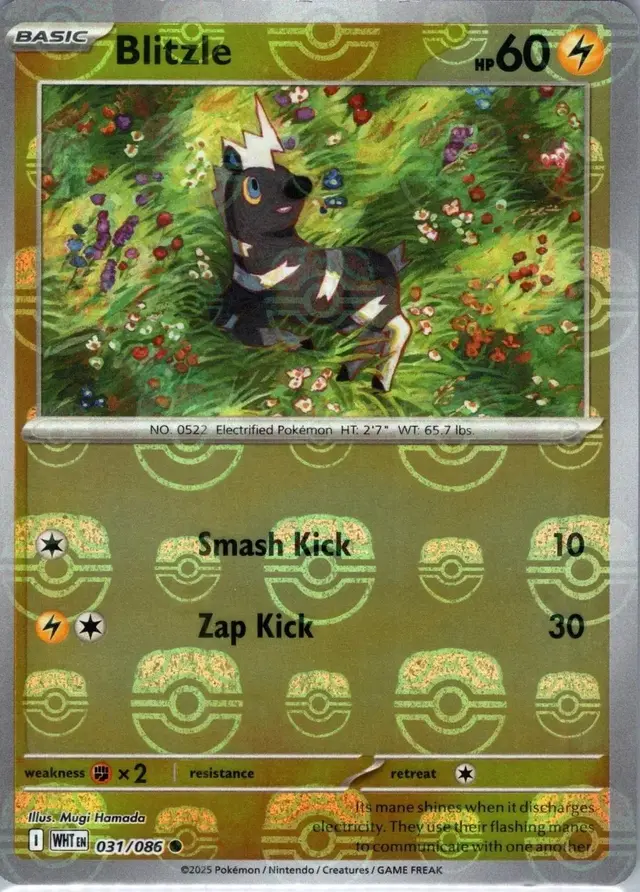 Blitzle [Master Ball] - Pokemon White Flare #31