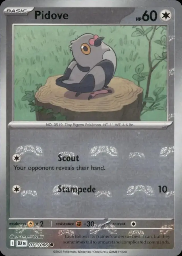 Pidove [Master Ball]