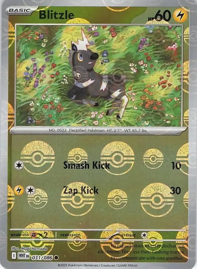 Blitzle [Poke Ball] - Pokemon White Flare #31