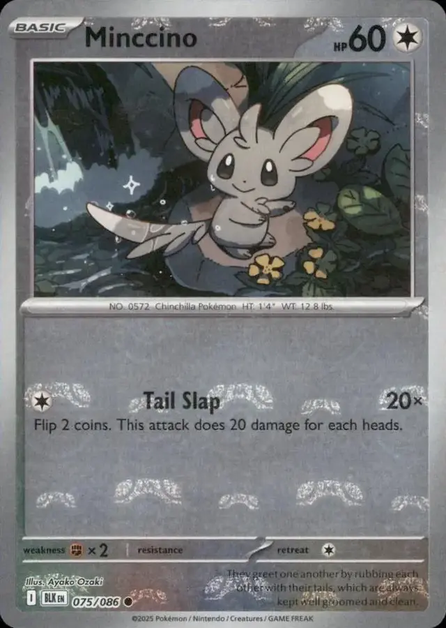 Minccino [Master Ball]