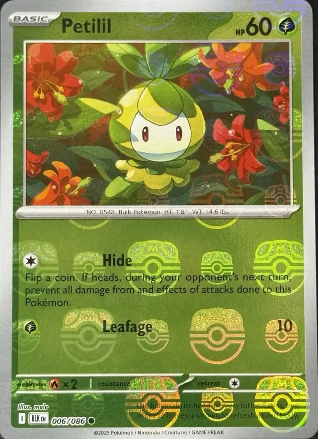Petilil [Master Ball] - Pokemon Black Bolt #6