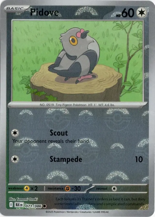 Pidove [Poke Ball]