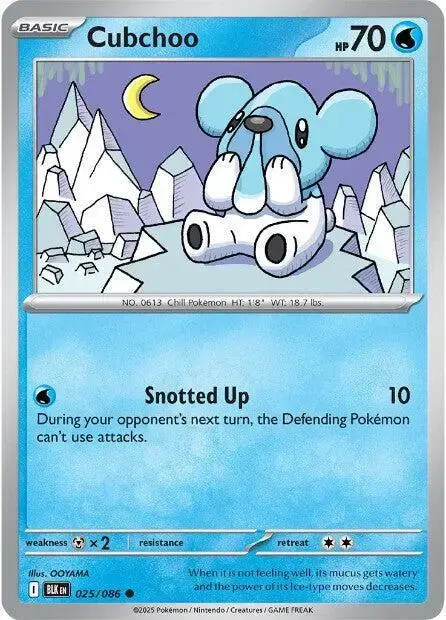 Cubchoo - Pokemon Black Bolt #25