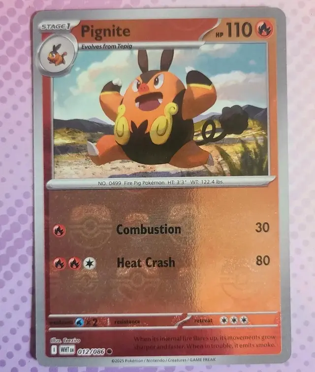 Pignite [Master Ball] - Pokemon White Flare #12