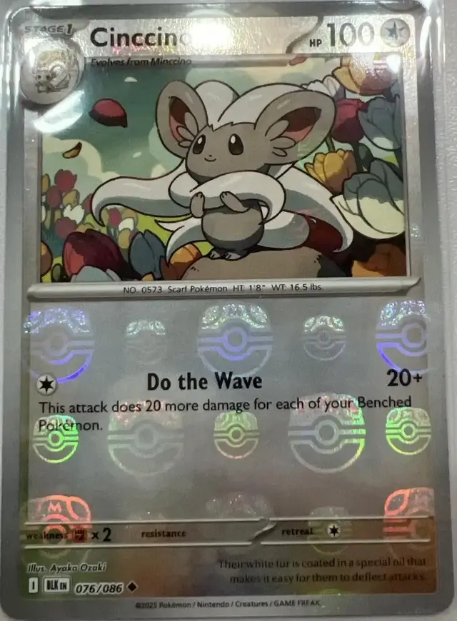 Cinccino [Master Ball]