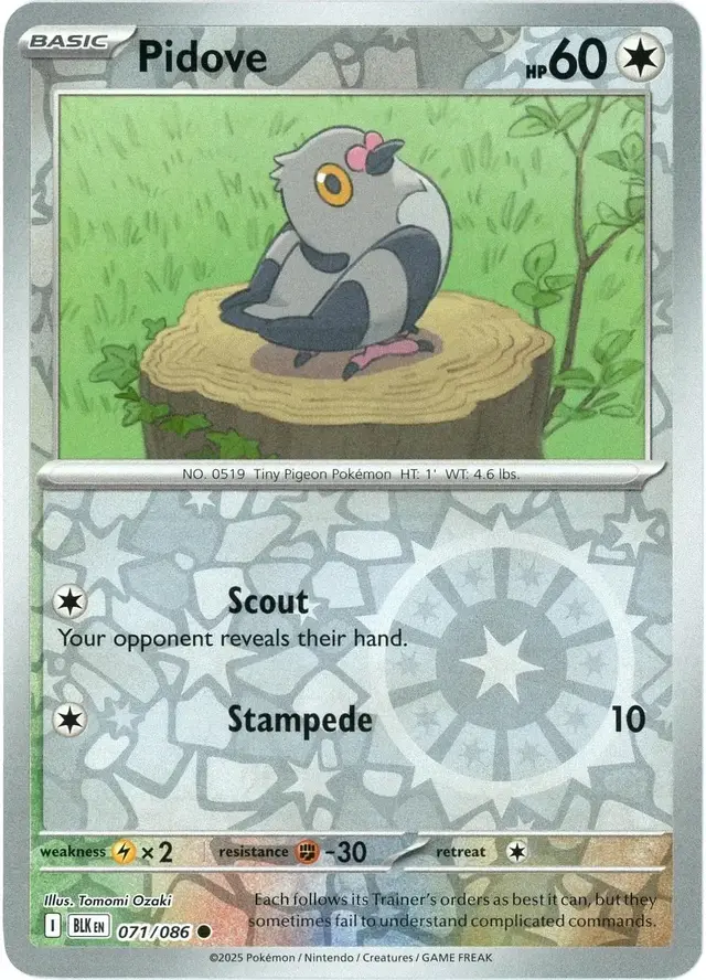 Pidove [Reverse]