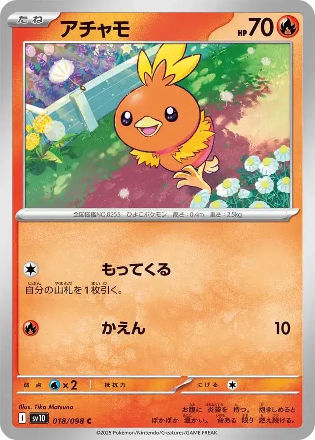 Torchic - Pokemon Japanese Glory Of Team Rocket #18