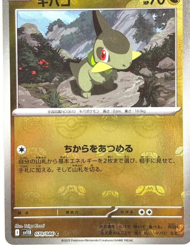 Axew [Master Ball] - Pokemon Japanese Black Bolt #70
