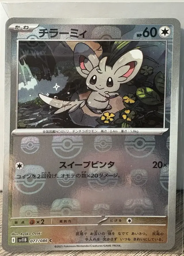 Minccino [Master Ball]