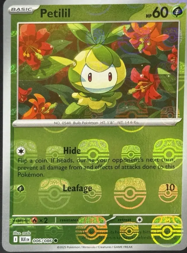 Petilil [Master Ball]