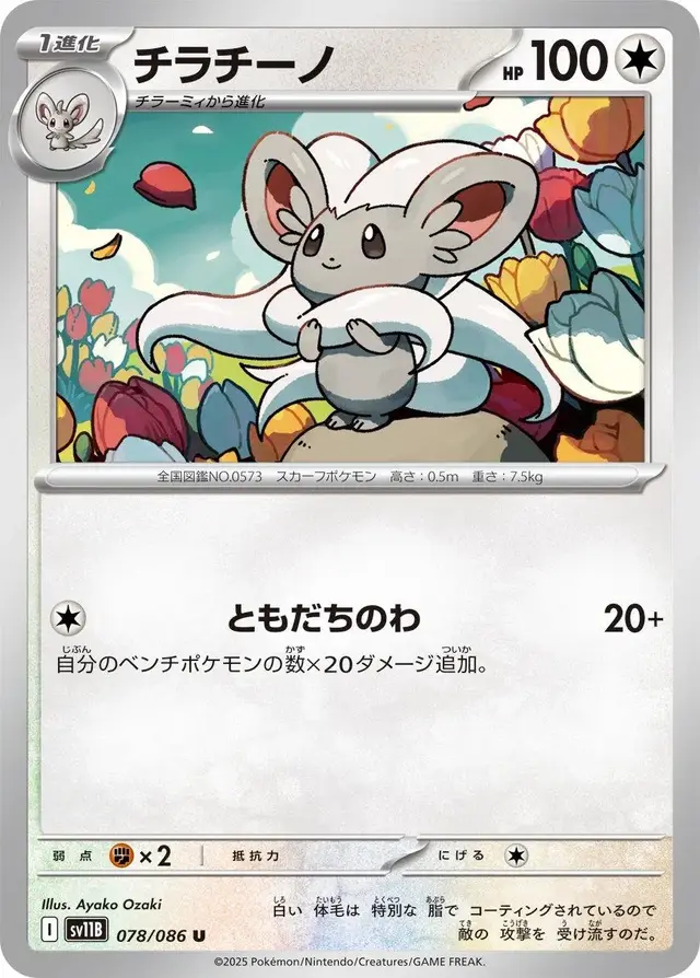 Cinccino
