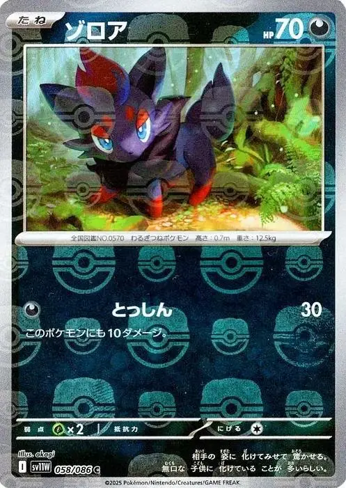 Zorua [Master Ball] - Pokemon Japanese White Flare #58