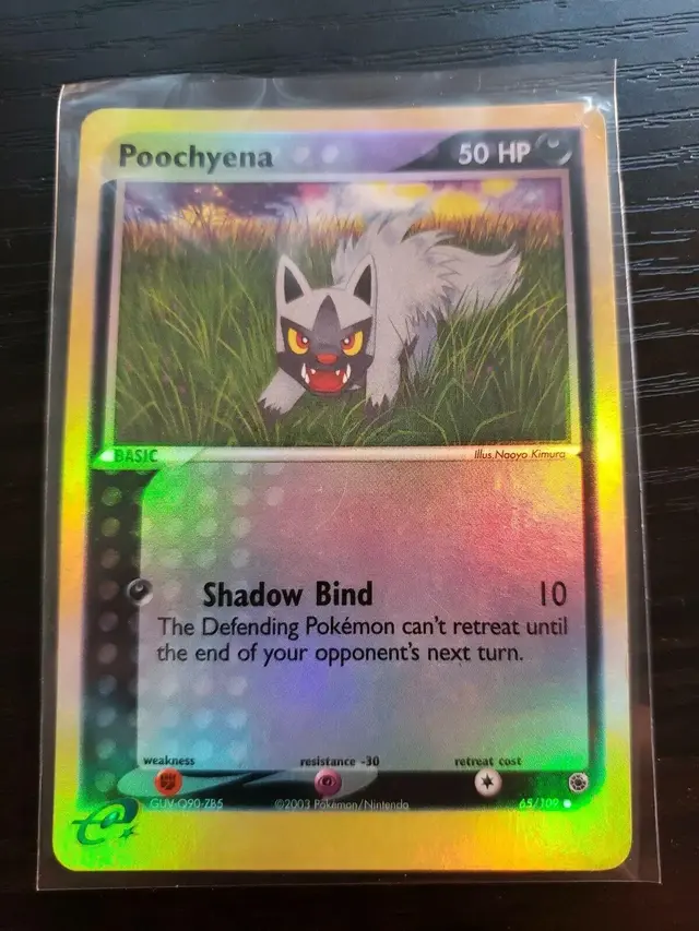Poochyena [Reverse Holo]