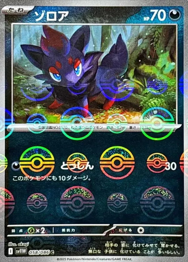 Zorua [Poke Ball] - Pokemon Japanese White Flare #58