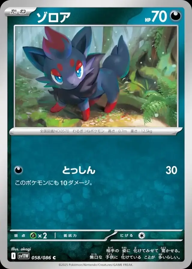 Zorua - Pokemon Japanese White Flare #58
