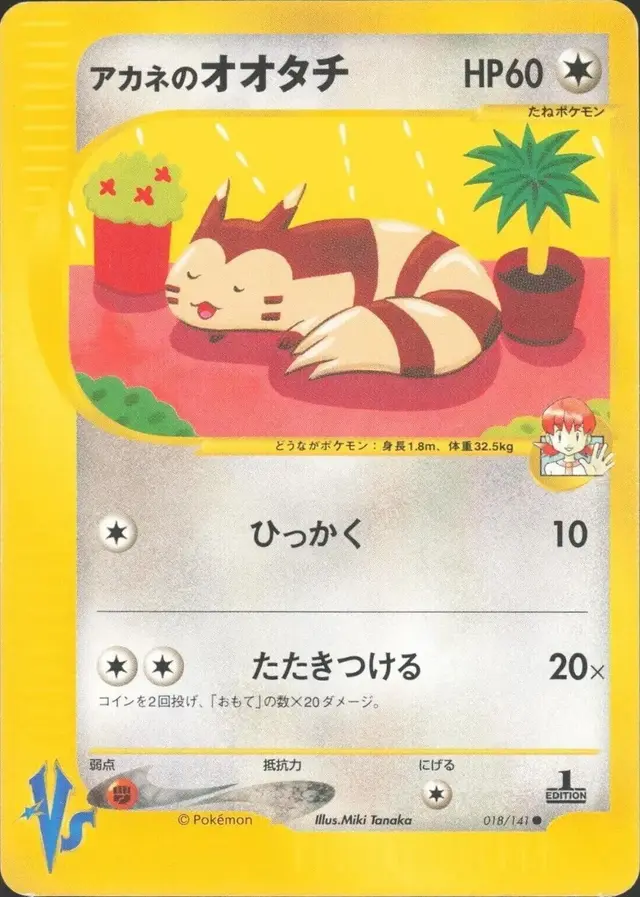 Whitney's Furret - Pokemon Japanese Vs #18