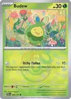 Budew [Master Ball] - Pokemon Japanese Terastal Festival #1