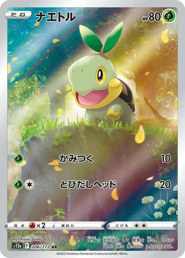 Turtwig