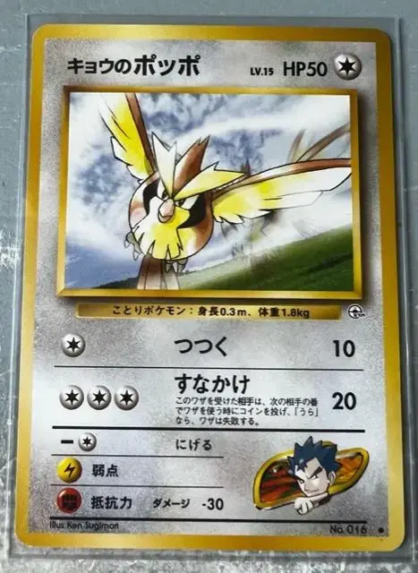 Koga's Pidgey