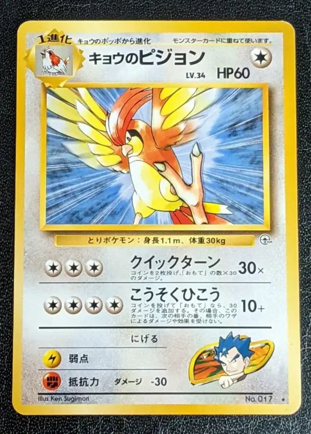 Koga's Pidgeotto