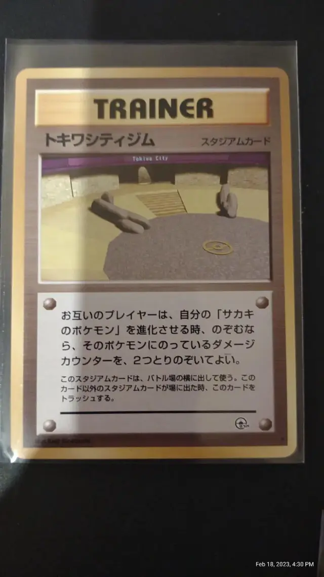 Viridian City Gym - Pokemon Japanese Challenge From The Darkness