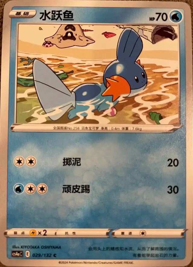 Mudkip - Pokemon Chinese CS4aC #29