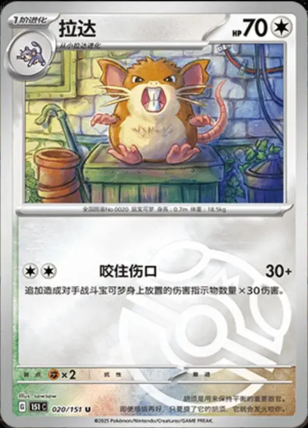 Raticate [Master Ball] - Pokemon Chinese Scarlet & Violet 151 #20