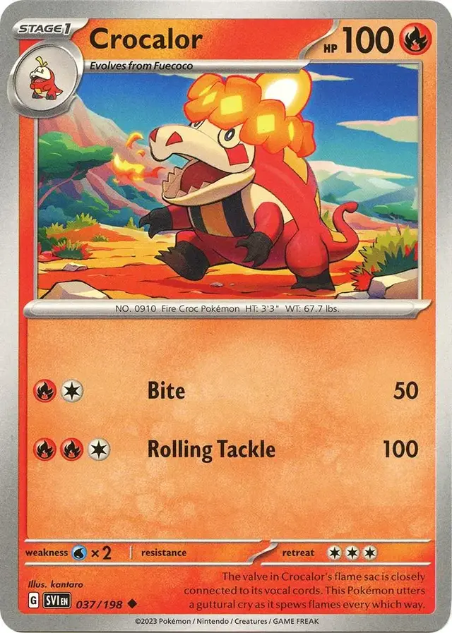 Crocalor - Pokemon Scarlet & Violet #37