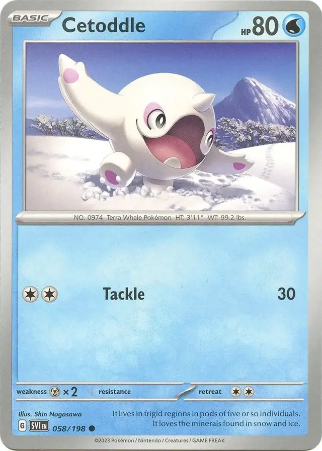 Cetoddle - Pokemon Scarlet & Violet #58