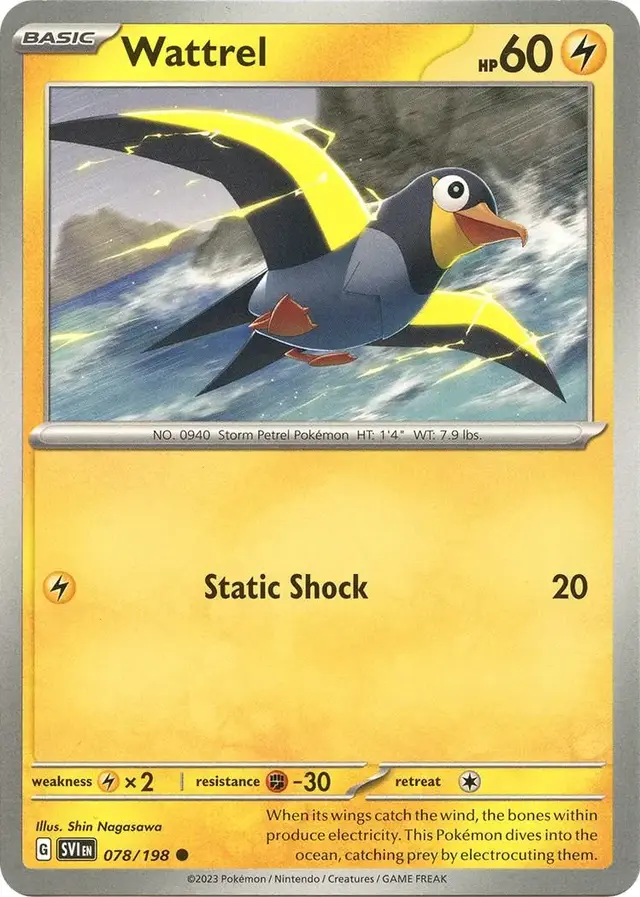 Wattrel - Pokemon Scarlet & Violet #78